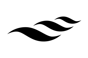 Hallin logo